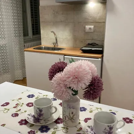 White House With Sauna アパート