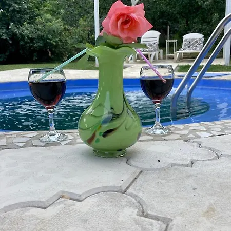 White House With Sauna Daire Novi Sad