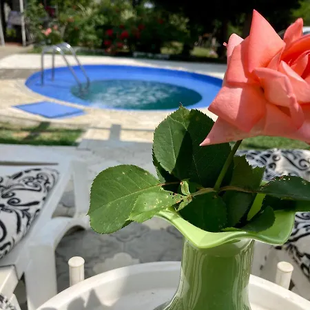 アパート White House With Sauna ノヴィ・サド