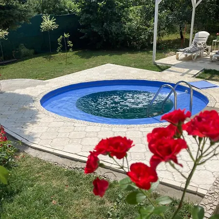 White House With Sauna アパート ノヴィ・サド