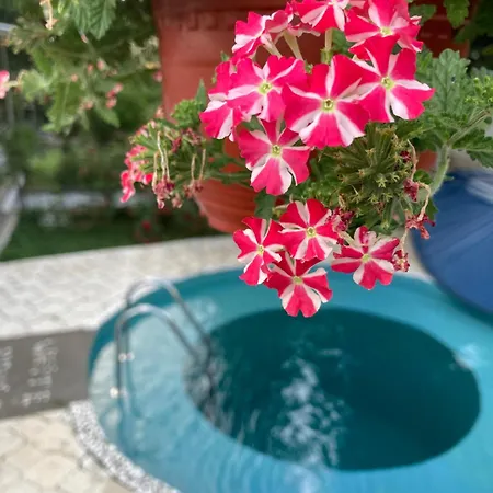 White House With Sauna アパート ノヴィ・サド