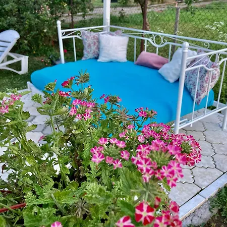 White House With Sauna アパート ノヴィ・サド