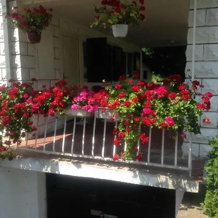 White House With Sauna Novi Sad