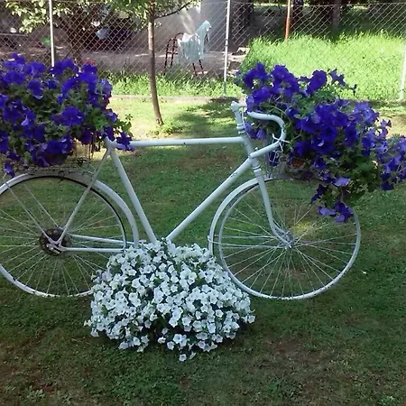 Daire White House With Sauna Novi Sad