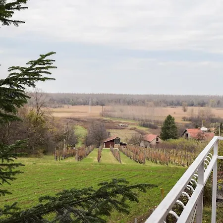 White House With Sauna アパート ノヴィ・サド