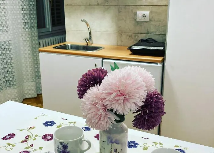 White House With Sauna Apartamento *