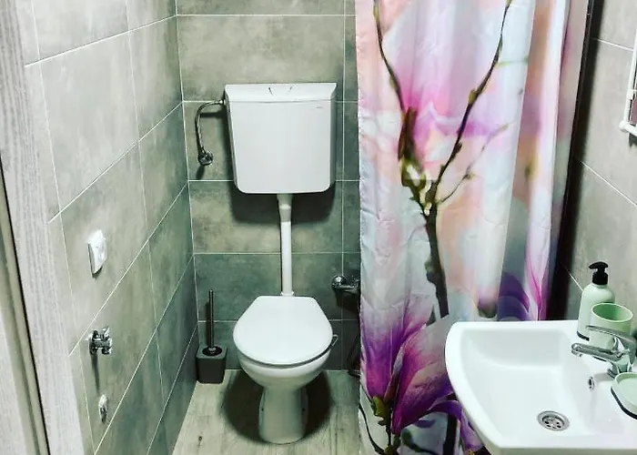 White House With Sauna Novi Sad