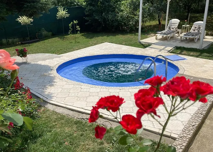 White House With Sauna Apartamento Novi Sad