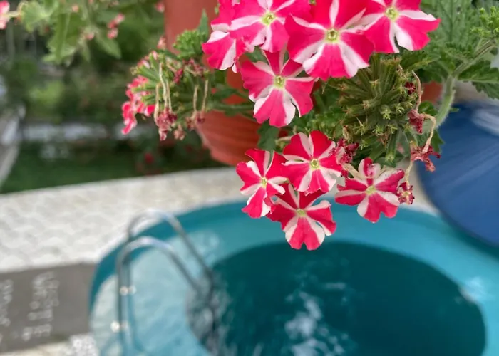 White House With Sauna Apartamento Novi Sad