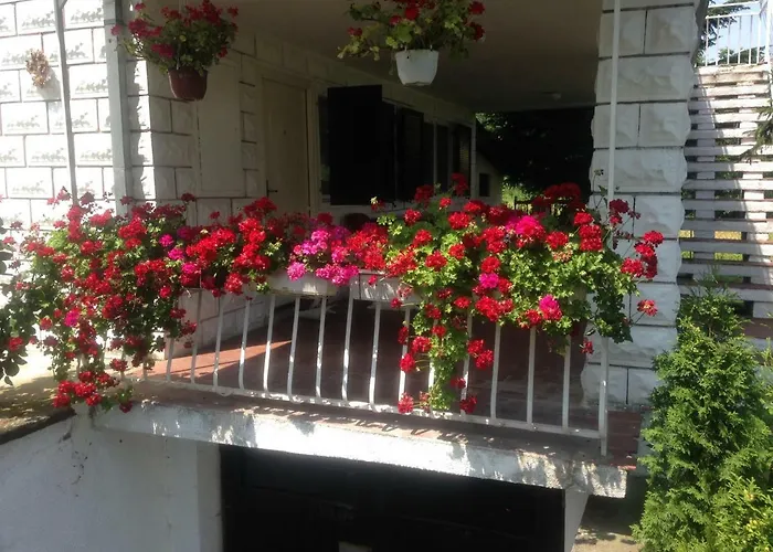 White House With Sauna Novi Sad