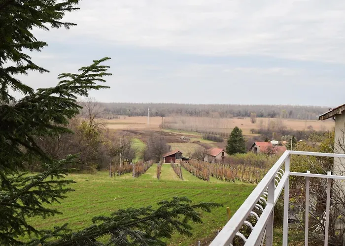 White House With Sauna Apartamento Novi Sad